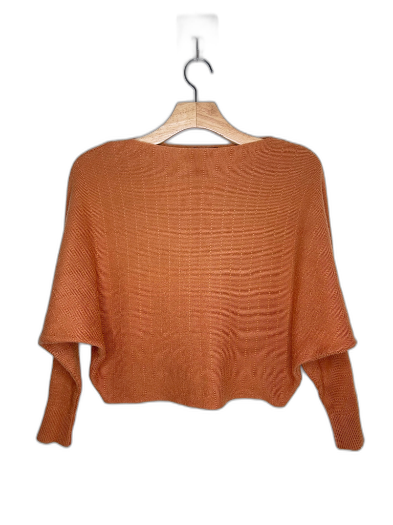 ZARA-LONG SLEEVES TOP