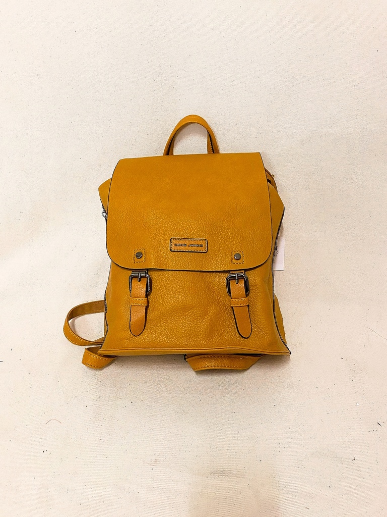 ASSORTED BRAND-BACKPACKS